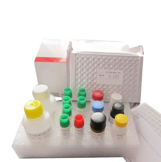 噻唑橙-壳聚糖-叶酸（TO-CTS-Folate）