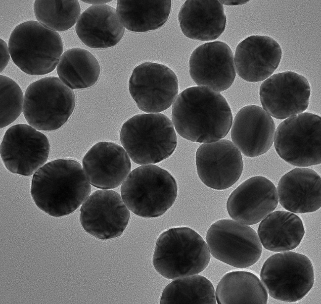 siRNA脂质纳米颗粒（Lipid Nanoparticles for siRNA Delivery）西安齐岳生物定制