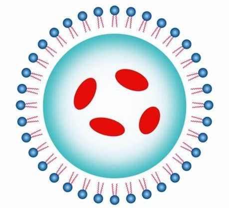 高分子载核酸药物-西安齐岳生物提供
