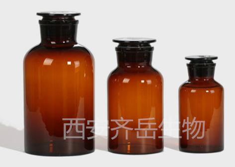 转铁蛋白修饰空白脂质体（Transferrin-Liposomes）的定制合成步骤