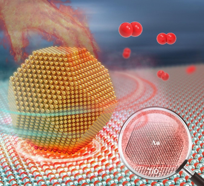 载药脂质体定制合成技术的合成工艺-西安齐岳生物