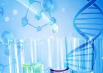 poloxamer188-b-PCL-S-S-DOX：氧化还原敏感型纳米粒 