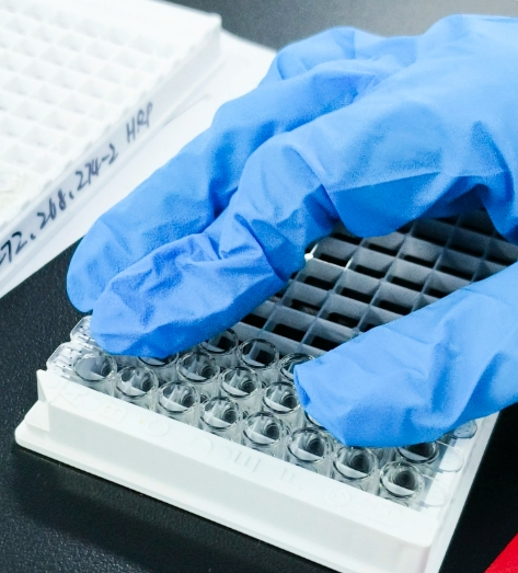 四价顺铂前药脂质体定制合成技术-西安齐岳生物提供