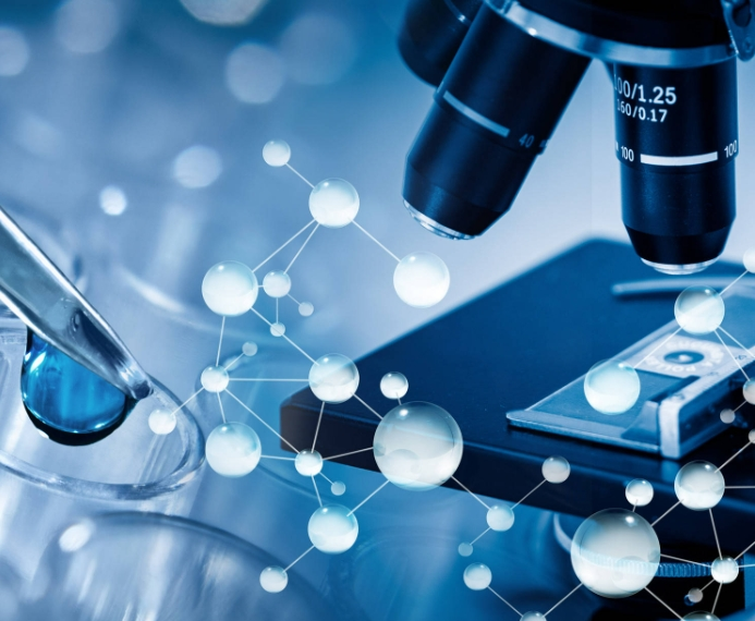 Man-AuNPs：甘露糖修饰纳米金（Mannose-Modified Gold Nanoparticles）