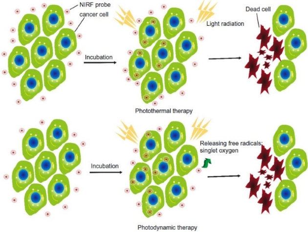 刺激响应性的聚合物前药定制合成技术-西安齐岳生物