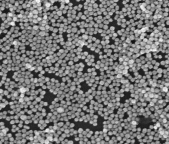 甲基丙烯酰化透明质酸（HAMA）水凝胶定制合成技术-西安齐岳生物