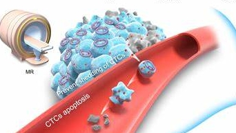 HCPT-MePEG-PLA-NPs：羟基喜树碱-聚乙二醇单甲醚-聚乳酸共聚物纳米粒