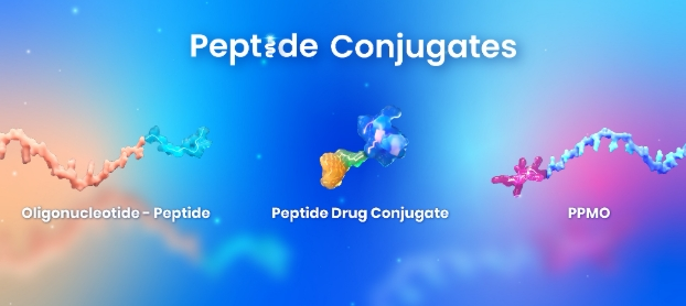 多肽载药物（DOX-RGD、PTX-CPP）等