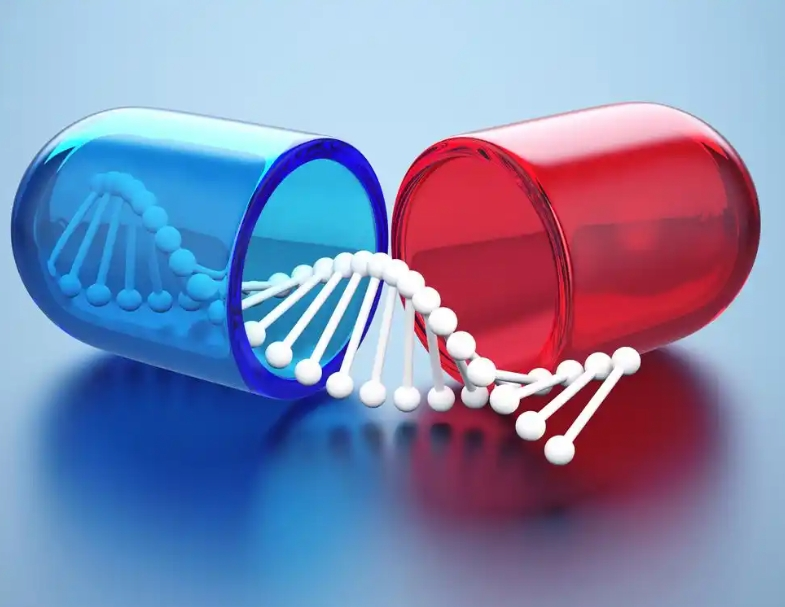 半乳糖修饰的壳聚糖-聚己内酯（Gal-CS-PCL）