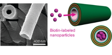 微针递送系统开发服务