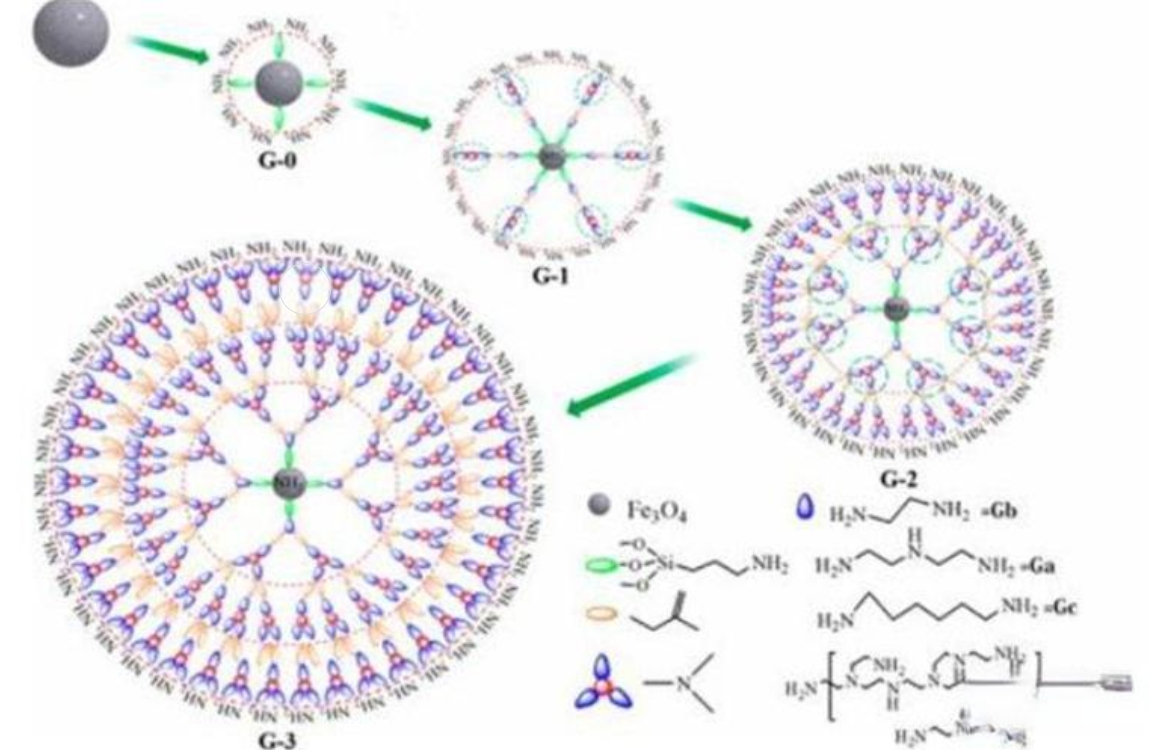 阳离子脂质体复合核酸（DNA、RNA、siRNA、蛋白质等）