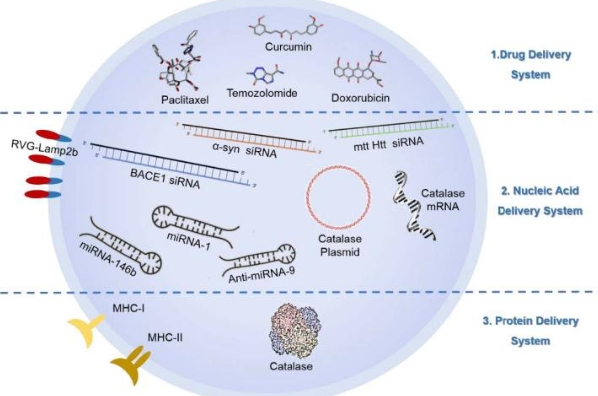 药物化学结构式改性技术 （Chemical Structure Modification of Drugs）