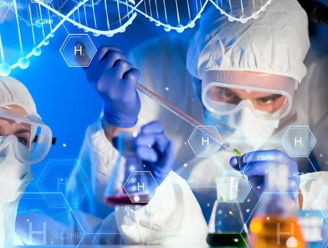 介孔二氧化锰载药