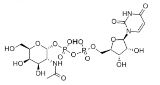 UDP糖|UDP-GALNAC，cas:7277-98-7，UDP-半乳糖二钠盐，UDP-GalNAc