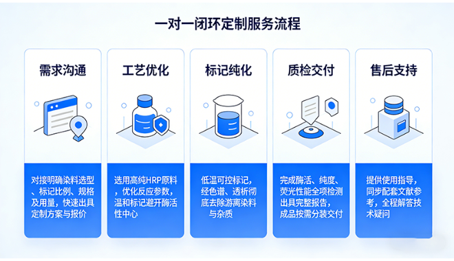 辣根过氧化物酶（HRP-Fluorescent）定制服务丨西安齐岳生物