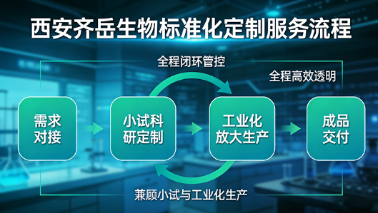 中间体设计与合成策略——不同定制方向