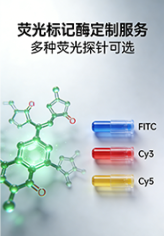酶定制服务｜多种荧光探针可选