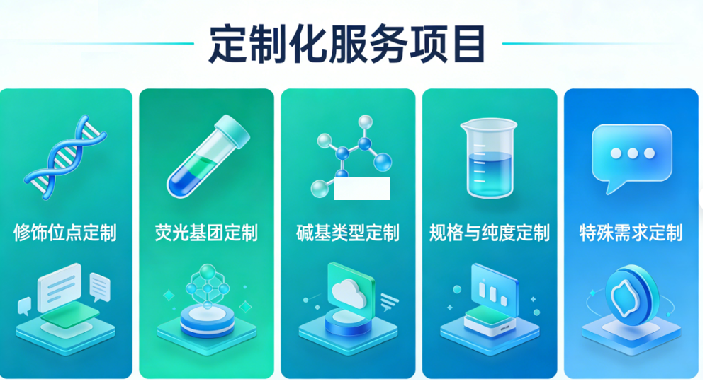 荧光核苷酸定制｜齐岳生物一站式应用指南
