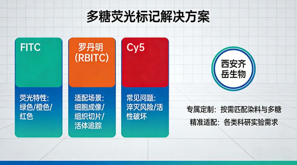 多糖用哪种染料？FITC、Cy5、罗丹明参考建议