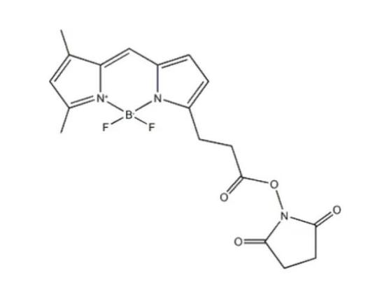 BODIPY 581/591 C11(脂质过氧化传感器) BDP FL NHS ester CAS:146616-66-2