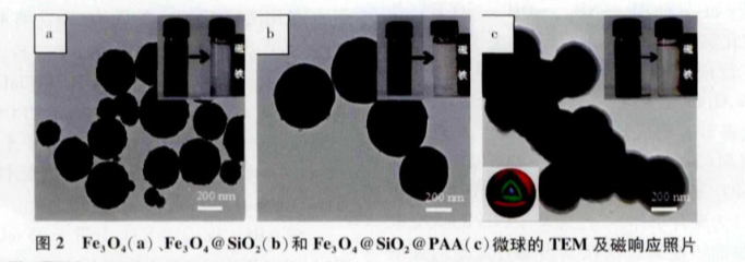 PVP@Fe3O4 nanoparticles(30nm)，粒径可定制