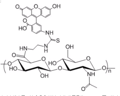 透明质酸酯-荧光素 透明质酸酯-荧光素