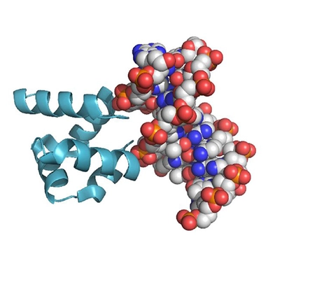 纤维蛋白原 纤维蛋白原